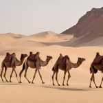 Benarkah Kencing Unta Berkhasiat Untuk Kesehatan?